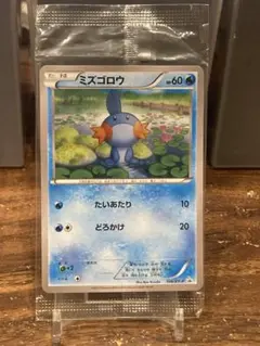 2025年最新】ミズゴロウ psa10の人気アイテム - メルカリ