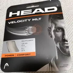 HEAD VELOCITY マルチ 1.30mm 12m　テニスガット18