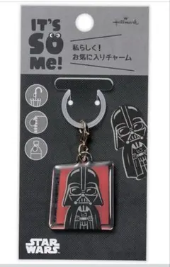 ダースベイダー マンダロリアン スターウォーズ めじるしチャーム キーホルダーのサムネイル