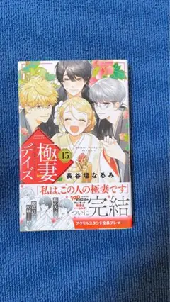 極妻デイズ(15)