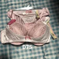 ブラジャーショーツセット D75/M