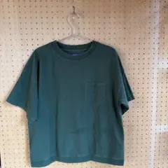nanamica THE NORTH FACEパープルレーベル 半袖Tシャツ