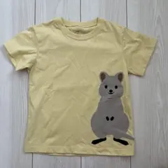 無印良品　キッズ　アニマルTシャツ　110cm クオッカのサムネイル