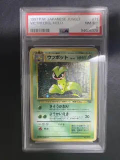 ウツボット 旧裏 PSA8 ポケモンカード