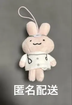 ホワイトタイガーとブラックタイガー　うさぎ