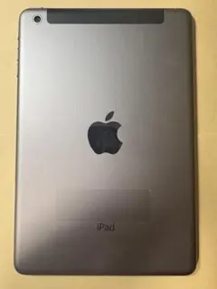 iPad mini2 32GB wifi+cellular