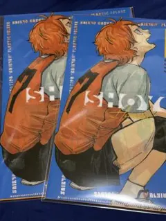 ハイキュー 日向翔陽 クリアファイル