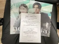 Item thumbnail for item d3124fc2-a22d-4e63-8148-3d73ebabb634