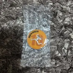 ハイキュー　RUNメタルキーホルダー　日向翔陽 直径4.5㌢