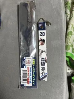 ライオンズ森脇亮介マッチデーボンフィン ８月２８日