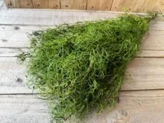 Flower lovers様 リクエスト 5点 まとめ商品