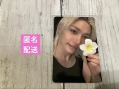 StrayKids KARMA EVERLINE エバラ トレカフィリックス