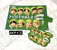 SnowMan Calbee カルビー 非売品 フライヤー