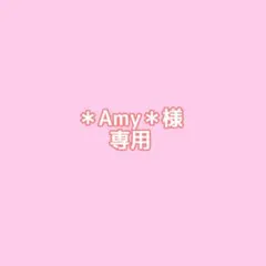 ＊Amy＊様専用