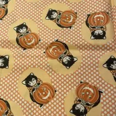 ♪猫ハロウィン