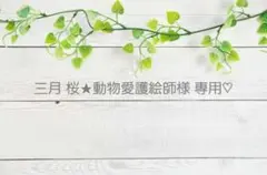 三月 桜★動物愛護絵師様 専用♡