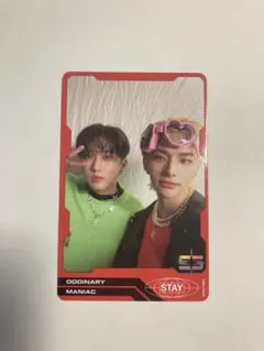 straykids トレカ ジニビニ