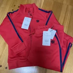 ロデオセットアップ