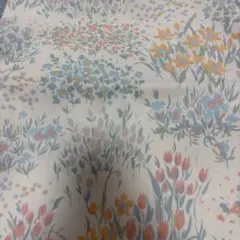 Item thumbnail for item 4603f650-8e95-4a03-ac69-738051ba6855