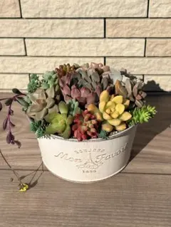 mamaぴゅん様 リクエスト 3点 まとめ商品