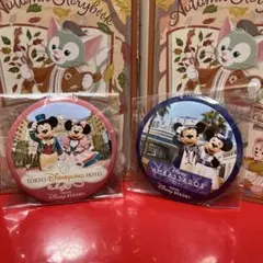 東京ディズニーリゾート アンバサダーホテル　ランドホテル　缶バッジ　セット
