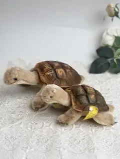 シュタイフ★Slo Turtle★カメのソロ/タートル 2体セット★Steiff 2025年最新】シュタイフ カメの人気アイテム - メルカリ