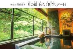 ペア宿泊 2食付き】山形蔵王温泉 名湯リゾート ルーセントタカミヤ お