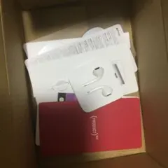 iPhone付属品 イヤホン Apple EarPods Lightning