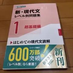 現代文レベル別問題集