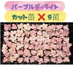 優飛mama様 リクエスト 2点 まとめ商品