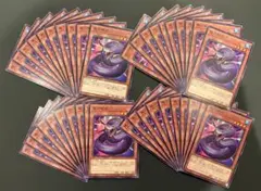 遊戯王　夜刀蛇巳　やとのかみ　ノーマル　40枚セット