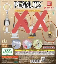 PEANUTS めじるしアクセサリー FUNNY ver. チャーリーのみ