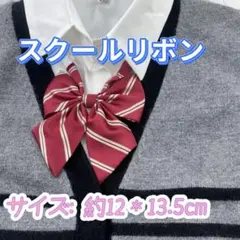 学生服 リボンタイ　スクールリボン 卒業式　コスプレ 仮装　ボルドーストライプ