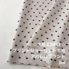 S2L/5736-02◆3m 感謝祭/ポリエステルプリントジョーゼット生地