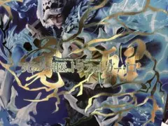 Portrait Of Pirates トラファルガー・ロー