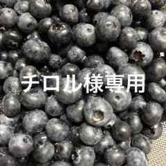 チロル様専用　愛媛県大洲さんブルーベリー