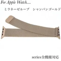シャンパン☺︎ミラネーゼループ★Apple Watch バンド◆アップルウォッチ