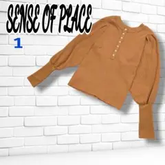 【美品】SENSE OF PLACE ニット 長袖　リブ　アーバンリサーチ