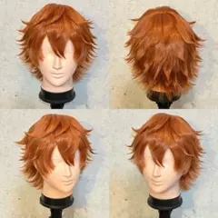 【本日までお値下げ価格】ズートピア ニック・ワイルド コスプレ ウィッグ ズートピア ニック・ワイルド コスプレ ウィッグ - メルカリ