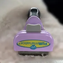 Item thumbnail for item f0083dd4-b00b-4d23-b4c6-715ce8454523