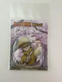 Dr.STONE 西園寺羽京 缶バッジ