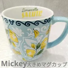 しろゆず様 リクエスト 2点 まとめ商品