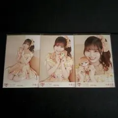 大場花菜 アリーナツアー2024メンカラニット衣装 アザーカット コンプ