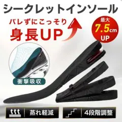 シークレットインソール 4段階 調整 最大7.5cm 身長アップ 中敷 3段階のサムネイル