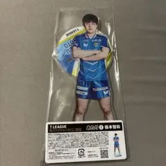 2026年最新】張本智和の人気アイテム - メルカリ