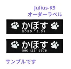 Item thumbnail for item c6aa29aa-23bb-40f9-a862-381231c24e1b