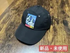 【ミル様専用】Supreme×The North Face 17aw 6Pane