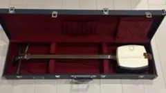 Item thumbnail for item c07155a8-b399-42e7-884d-f84471a95a2e