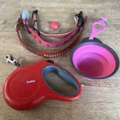 Item thumbnail for item cae7ebdd-363d-486b-b3d1-1c60dee4efbd