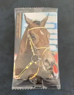 ウシュバテソーロ　チェックリスト157 まねき馬　No.2685